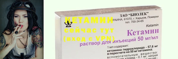 шишки Бородино